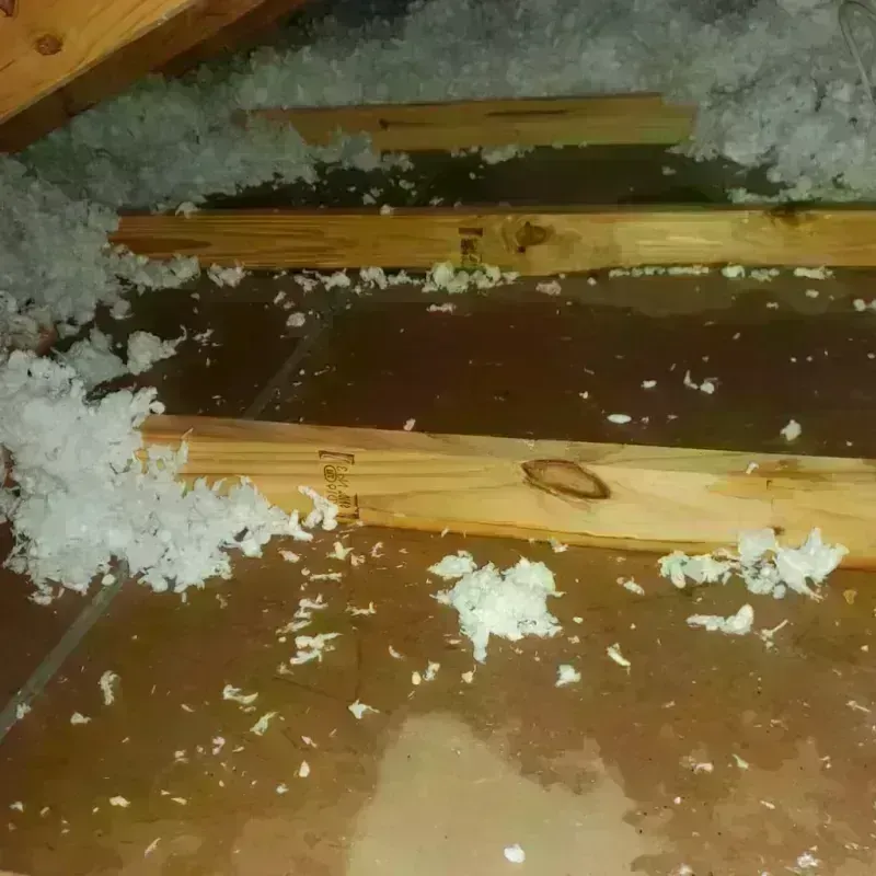 Attic Water Damage in Brookville, IN